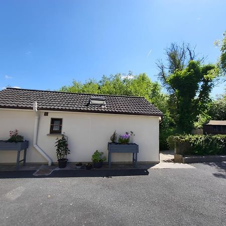 Oak Cottage 3 Km From Rock Of Cashel 卡舍尔 外观 照片