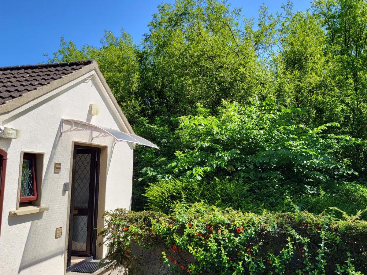 Oak Cottage 3 Km From Rock Of Cashel 卡舍尔 外观 照片