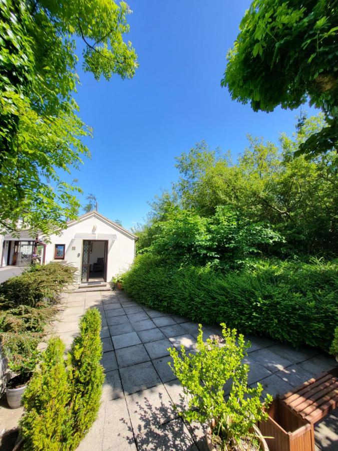 Oak Cottage 3 Km From Rock Of Cashel 卡舍尔 外观 照片