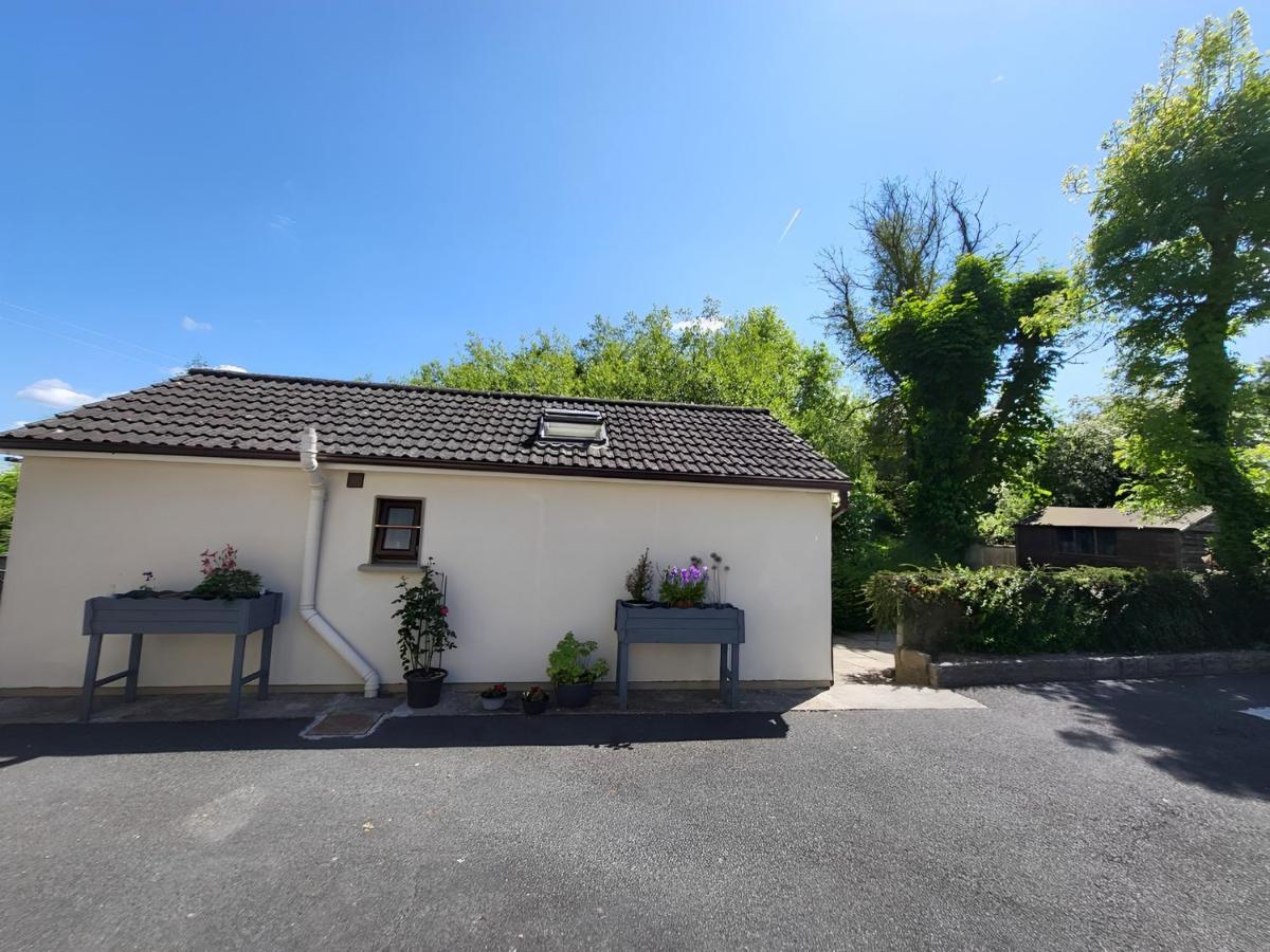 Oak Cottage 3 Km From Rock Of Cashel 卡舍尔 外观 照片