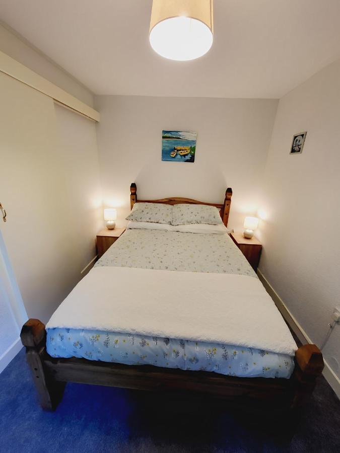 Oak Cottage 3 Km From Rock Of Cashel 卡舍尔 外观 照片