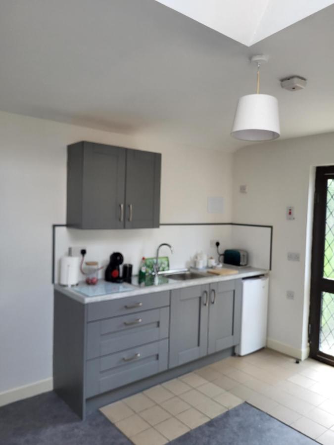 Oak Cottage 3 Km From Rock Of Cashel 卡舍尔 外观 照片