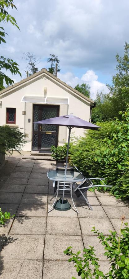 Oak Cottage 3 Km From Rock Of Cashel 卡舍尔 外观 照片